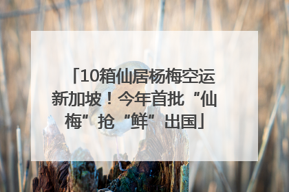 10箱仙居杨梅空运新加坡！今年首批“仙梅”抢“鲜”出国