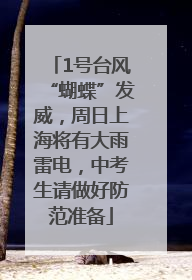 1号台风“蝴蝶”发威，周日上海将有大雨雷电，中考生请做好防范准备