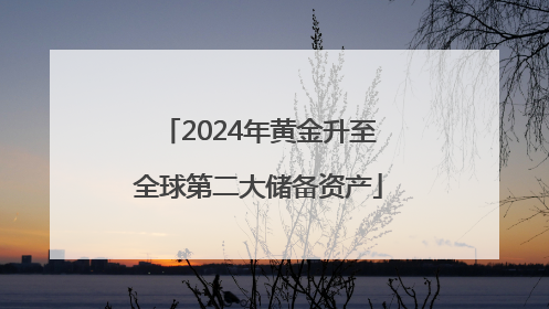 2024年黄金升至全球第二大储备资产