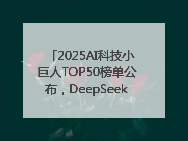 2025AI科技小巨人TOP50榜单公布，DeepSeek、宇树科技、蘑菇车联等企业荣誉上榜