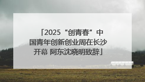 2025“创青春”中国青年创新创业周在长沙开幕 阿东沈晓明致辞