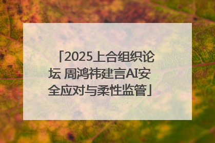 2025上合组织论坛 周鸿祎建言AI安全应对与柔性监管