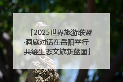 2025世界旅游联盟·洞庭对话在岳阳举行 共绘生态文旅新蓝图