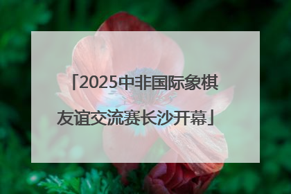 2025中非国际象棋友谊交流赛长沙开幕