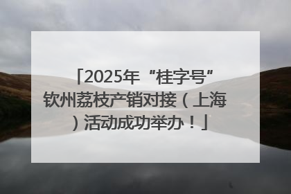 2025年“桂字号”钦州荔枝产销对接（上海）活动成功举办！