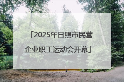 2025年日照市民营企业职工运动会开幕