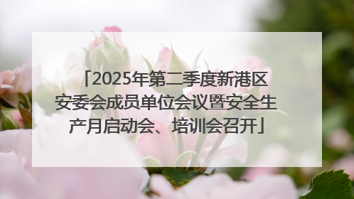 2025年第二季度新港区安委会成员单位会议暨安全生产月启动会、培训会召开