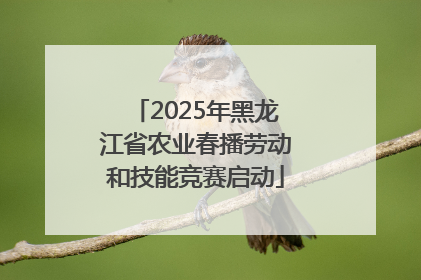 2025年黑龙江省农业春播劳动和技能竞赛启动