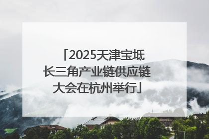 2025天津宝坻长三角产业链供应链大会在杭州举行