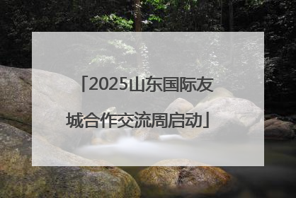 2025山东国际友城合作交流周启动