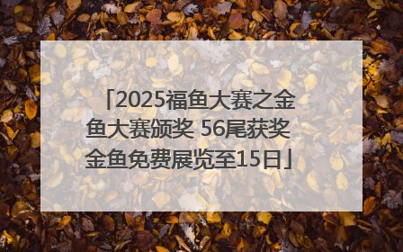 2025福鱼大赛之金鱼大赛颁奖 56尾获奖金鱼免费展览至15日