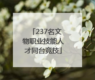 237名文物职业技能人才同台竞技