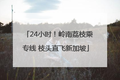 24小时！岭南荔枝乘专线 枝头直飞新加坡