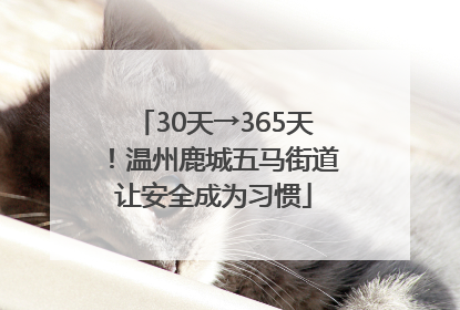 30天→365天！温州鹿城五马街道让安全成为习惯