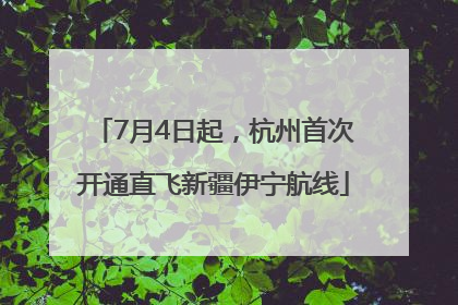7月4日起，杭州首次开通直飞新疆伊宁航线
