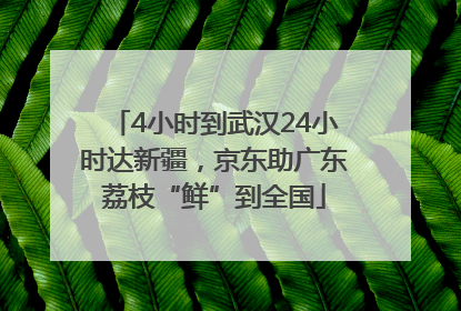 4小时到武汉24小时达新疆，京东助广东荔枝“鲜”到全国