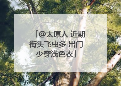 @太原人 近期街头飞虫多 出门少穿浅色衣