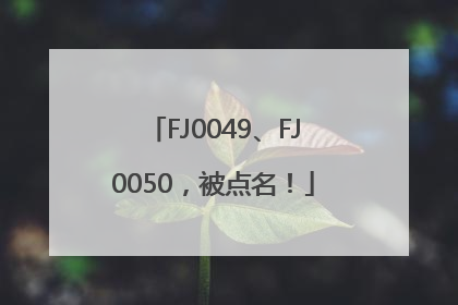 FJ0049、FJ0050，被点名！