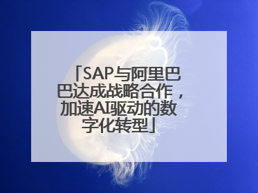 SAP与阿里巴巴达成战略合作，加速AI驱动的数字化转型